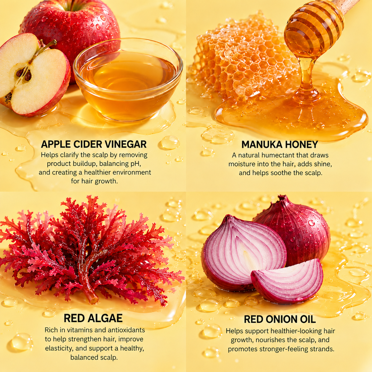 Scalp balancing shampoo ingredient set: honey, red algae, apple cider vinegar, onion oil
