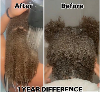 Coconut & Honey Curl Hydrator - Detangling Leave-In With MSM For Hair Growth (Oil Free)